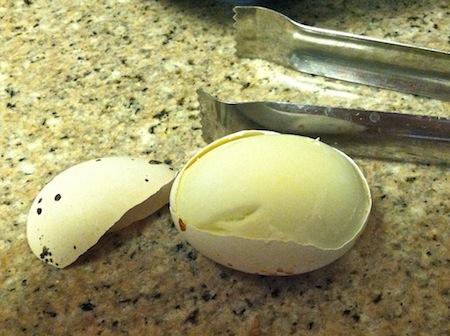 exploded-shell-hard-boiled-egg