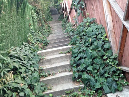 Adina-Passmore-Stairway-Upper-End